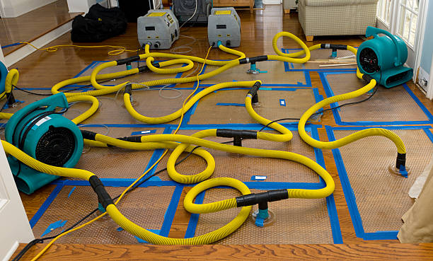Professional Flood Damage Restoration technician working in Briarcliff Manor, NY